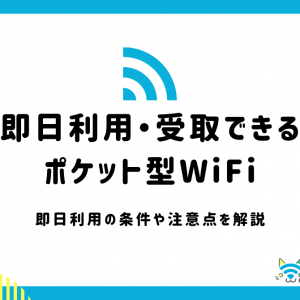 即日利用できるポケット型WiFi5選！レンタルサービスも！